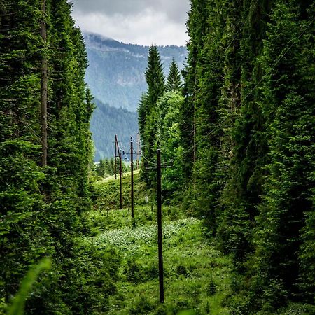 Gluexplatzl Appartements Am Wald Sankt Martin am Tennengebirge Εξωτερικό φωτογραφία