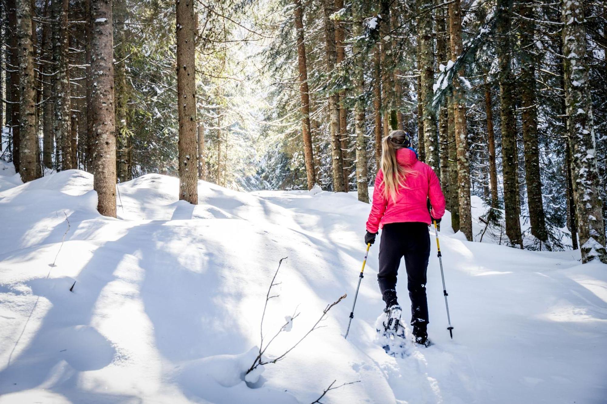 Gluexplatzl Appartements Am Wald Sankt Martin am Tennengebirge Εξωτερικό φωτογραφία